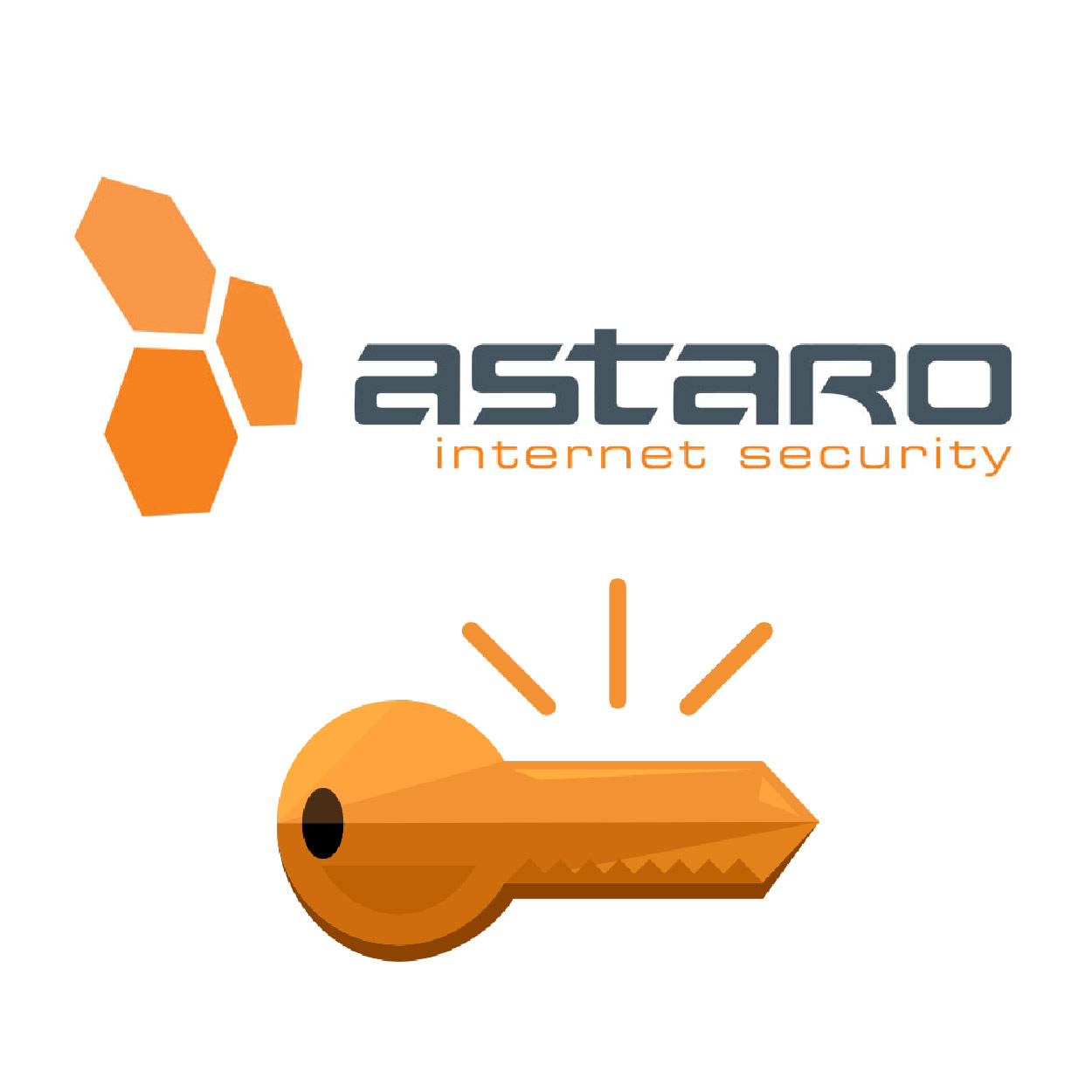 Astaro - Subscription Activation Key for AMG 1000 Mail Security ,Firewall